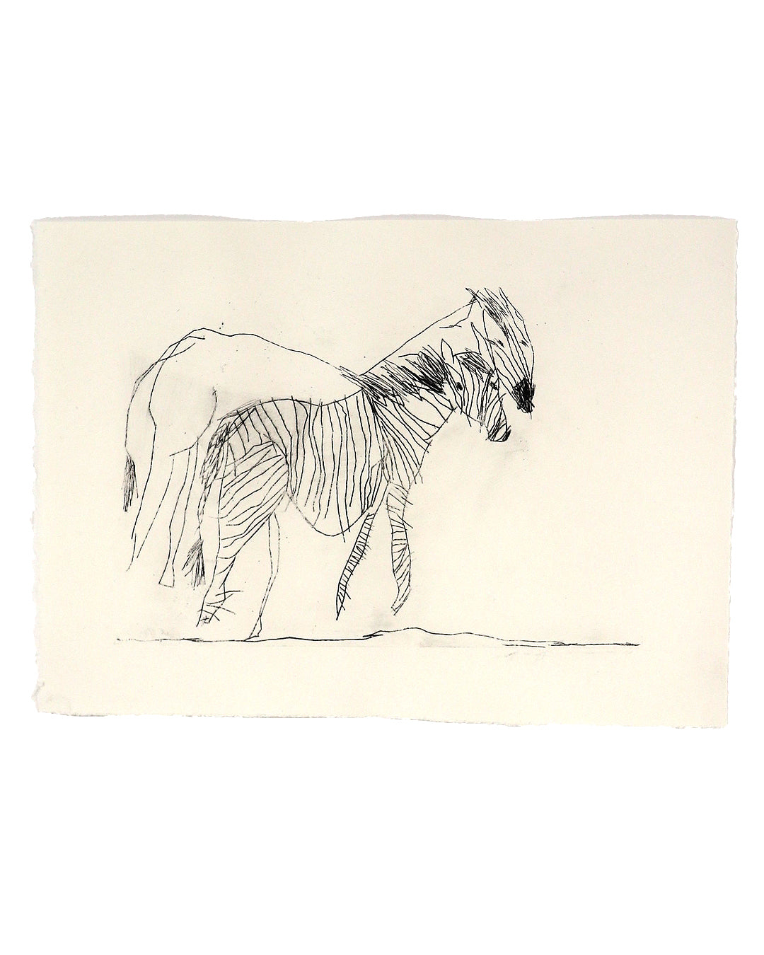 Zebra and Twin Ghost
