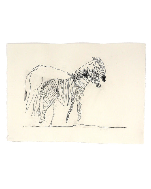 Zebra and Twin Ghost