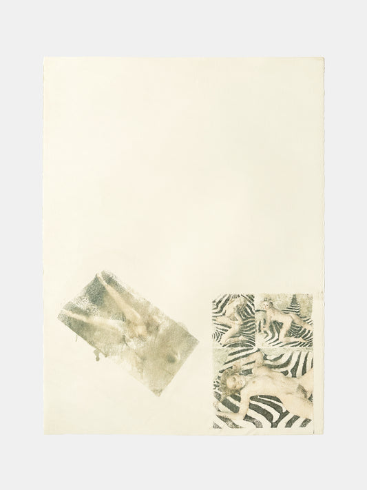 Solvent print (Zebra)