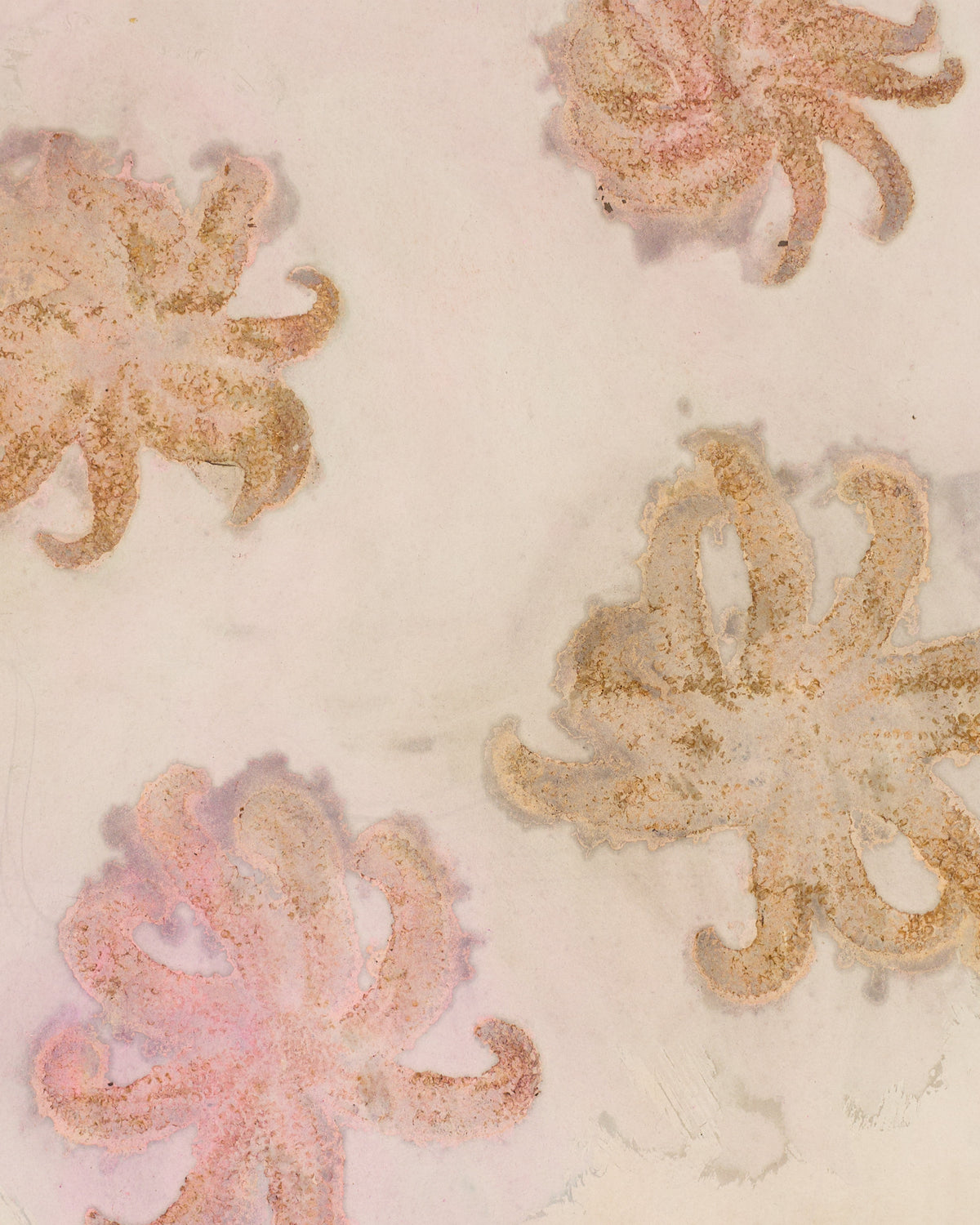 Starfish [1]