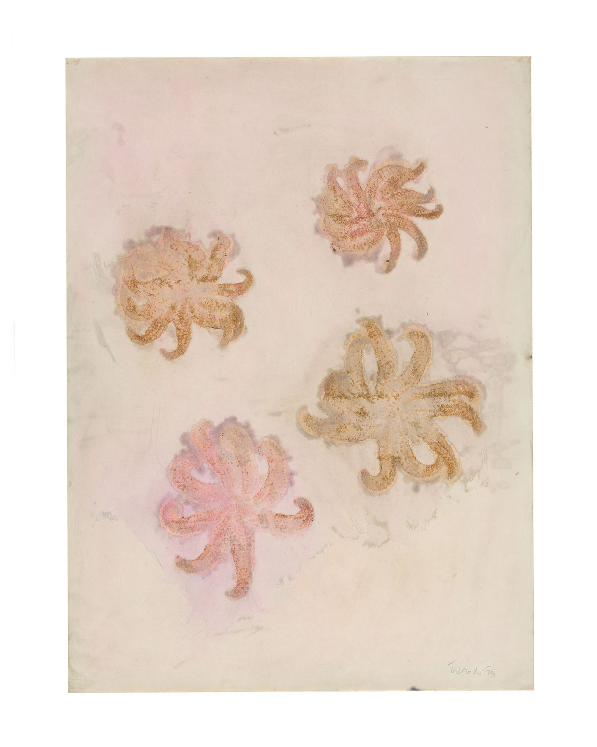 Starfish [1]
