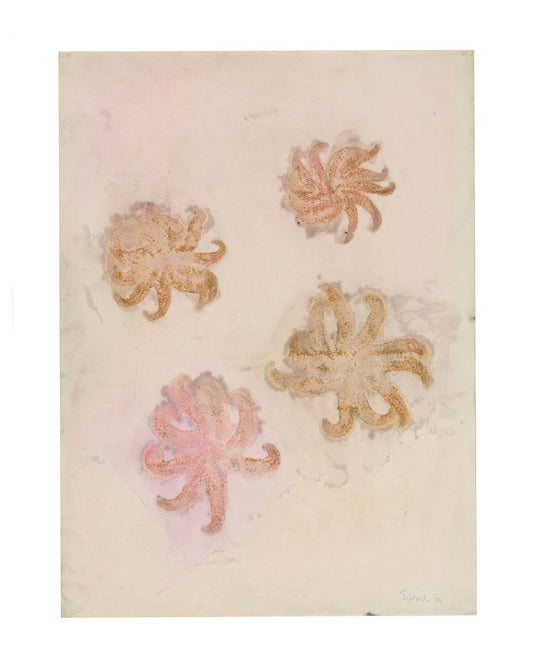 Starfish [1]